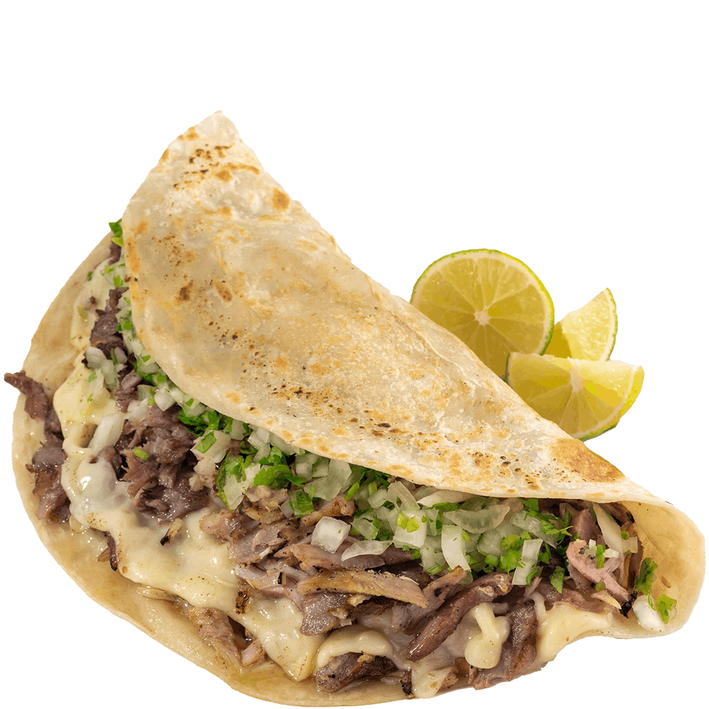 Gringa De Arabe oxxofit